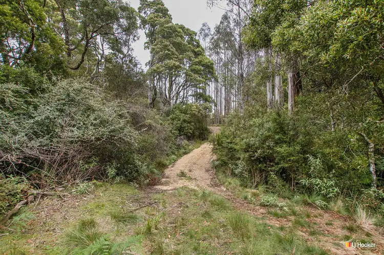 Third view of Homely land listing, 2500 Preolenna road, Preolenna TAS 7325