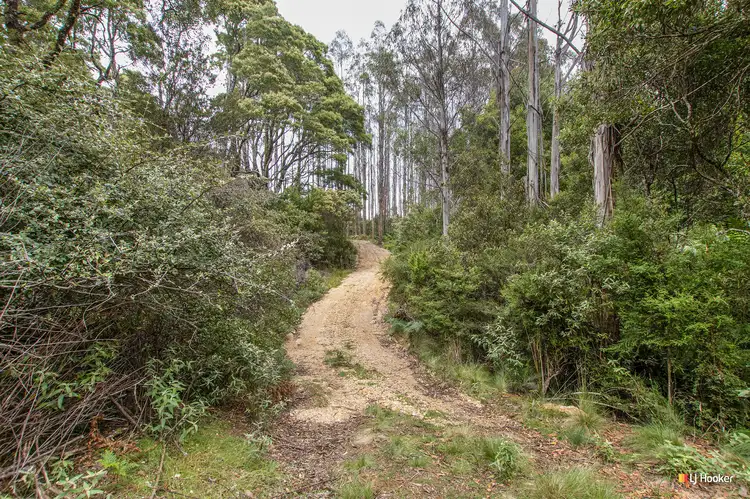 Fourth view of Homely land listing, 2500 Preolenna road, Preolenna TAS 7325