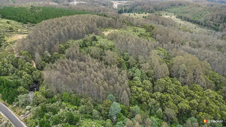 Seventh view of Homely land listing, 2500 Preolenna road, Preolenna TAS 7325