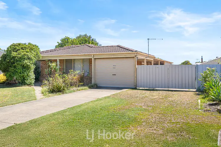 Main view of Homely house listing, 23 Black Swan Drive, West Busselton WA 6280