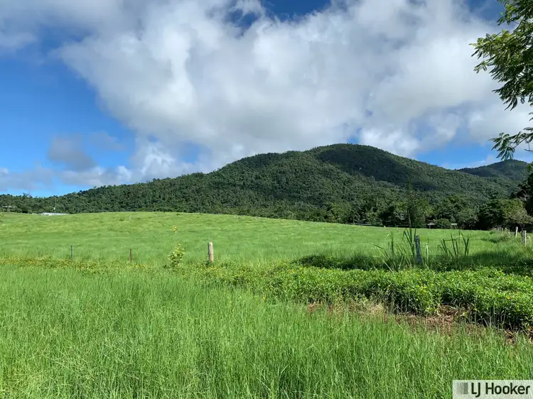 Fourth view of Homely land listing, 601 Bulgun Road, Feluga QLD 4854