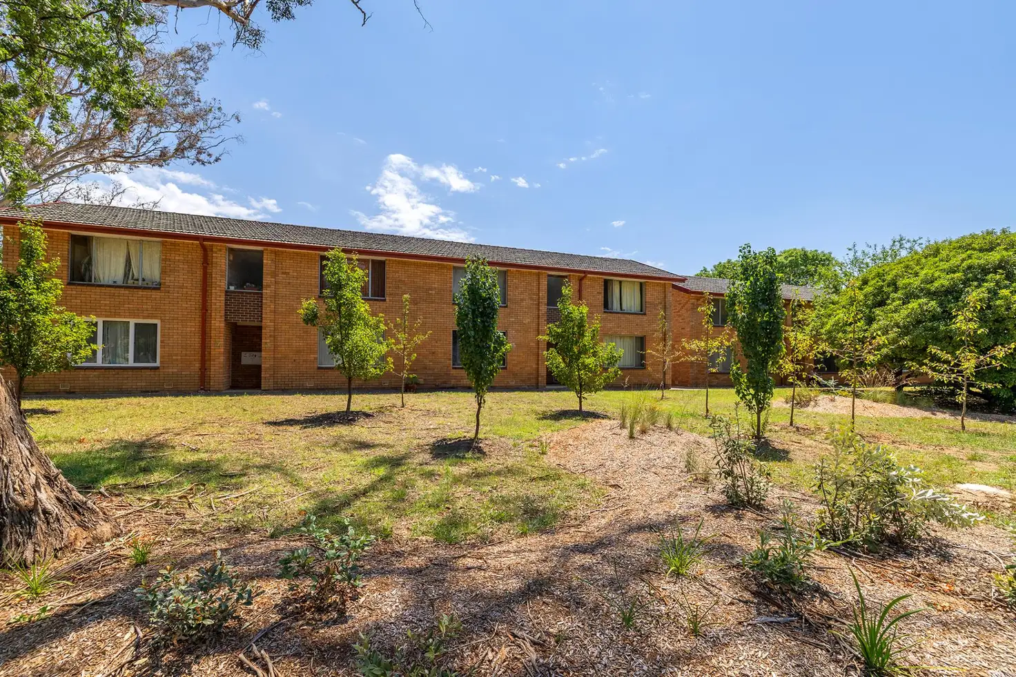 Main view of Homely unit listing, 11/39 Brigalow Street, O'connor ACT 2602