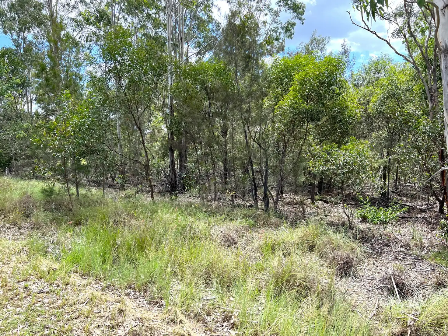 Main view of Homely land listing, Lot 102 McNicholl Road, Wattle Camp QLD 4615