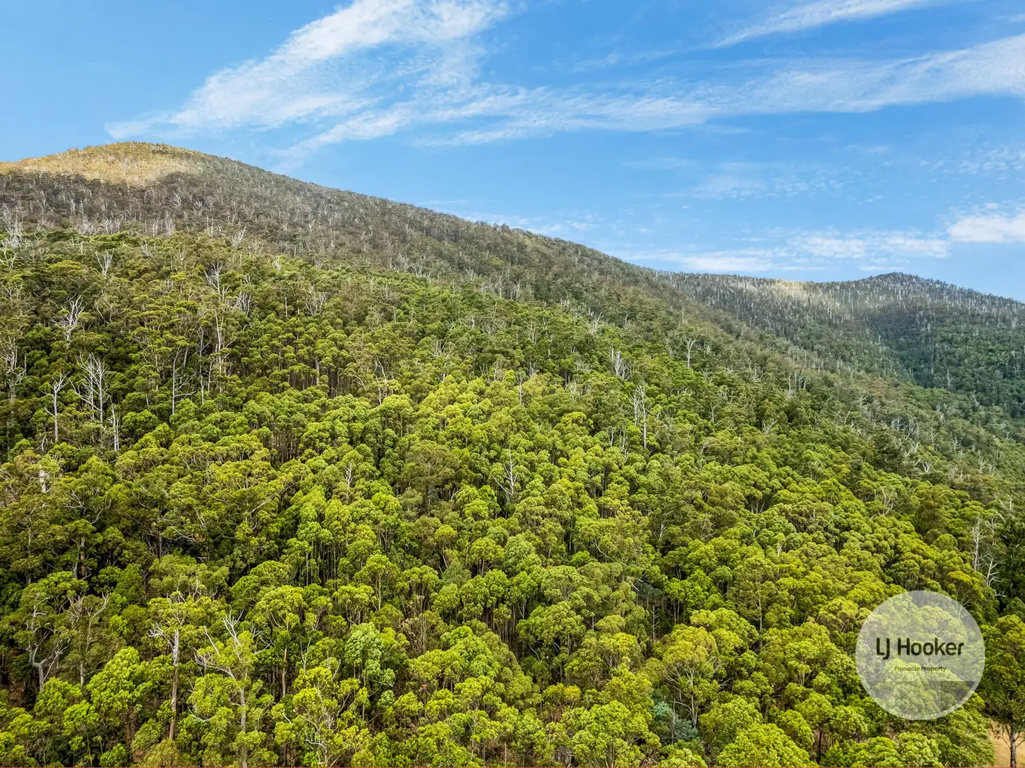 Main view of Homely land listing, (PID: 5803 Mount Charles Road, Lachlan TAS 7140