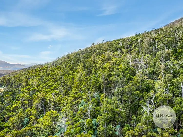 Third view of Homely land listing, (PID: 5803 Mount Charles Road, Lachlan TAS 7140