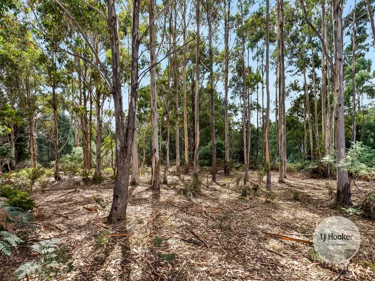 Sixth view of Homely land listing, (PID: 2733 Whites Road, Uxbridge TAS 7140