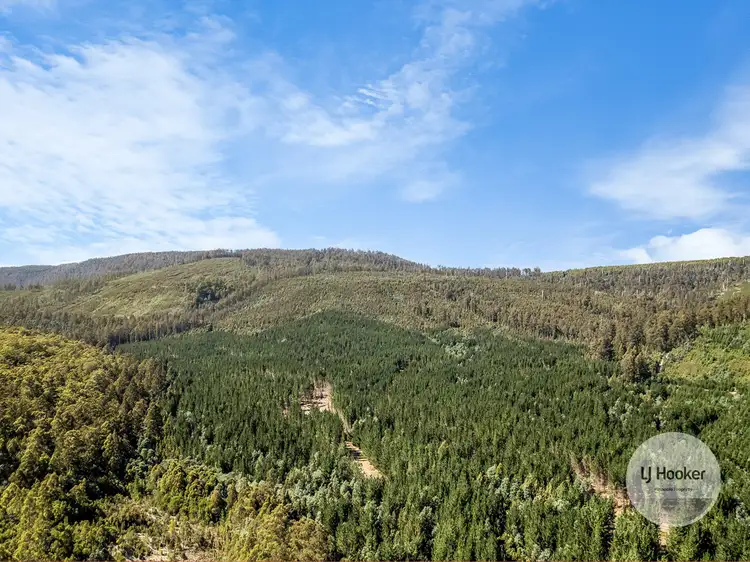 Main view of Homely land listing, (PID: 2971 Gordon River Road, Maydena TAS 7140