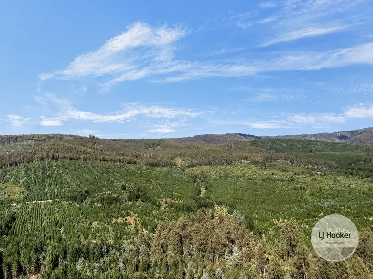 Second view of Homely land listing, (PID: 2971 Gordon River Road, Maydena TAS 7140