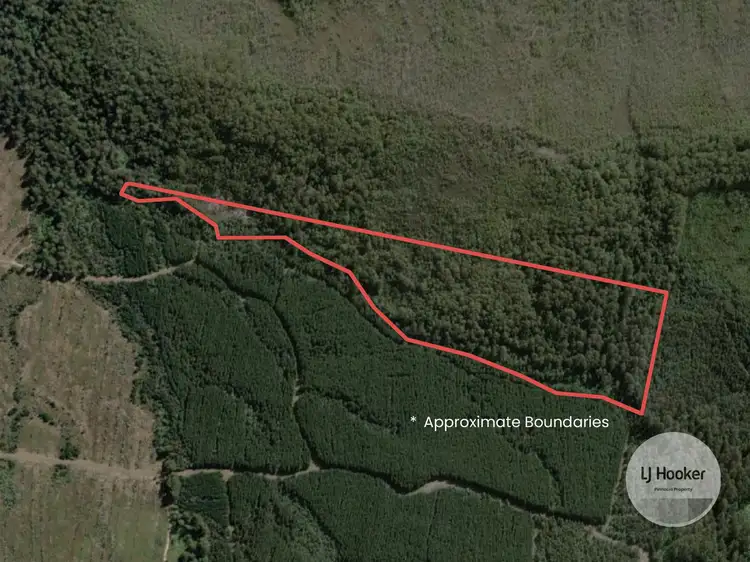 Third view of Homely land listing, (PID: 2971 Gordon River Road, Maydena TAS 7140