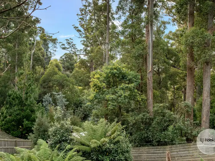Fourth view of Homely land listing, 438 Strickland Avenue, South Hobart TAS 7004