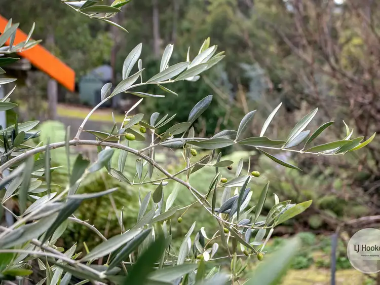 Sixth view of Homely land listing, 438 Strickland Avenue, South Hobart TAS 7004