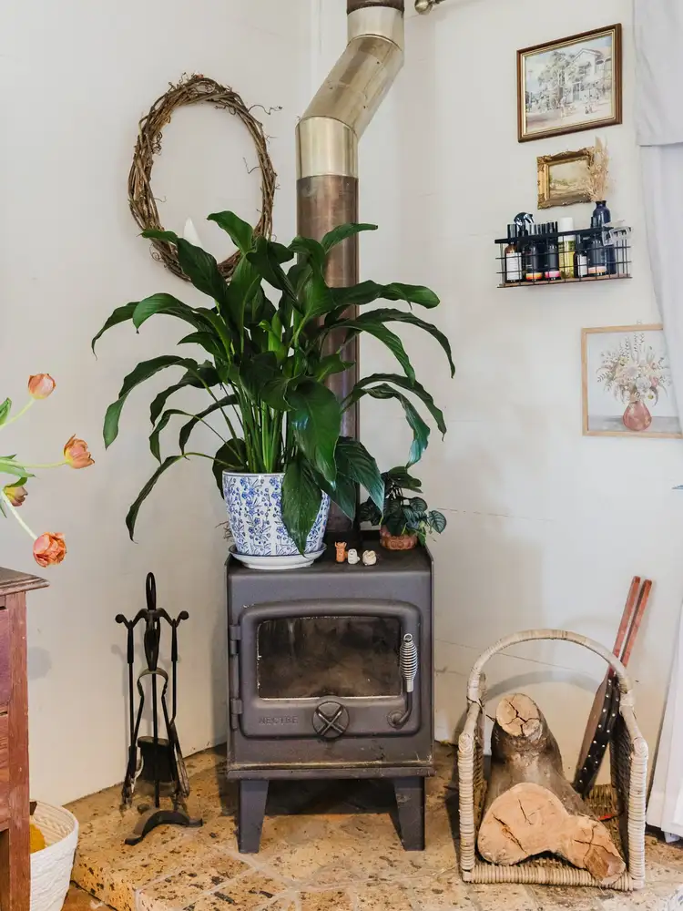 Seventh view of Homely rural property listing, 533 Warrigal Range Road, Brogo NSW 2550