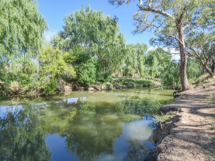 Main view of Homely rural property listing, 1089 Henry Lawson Way, Young NSW 2594