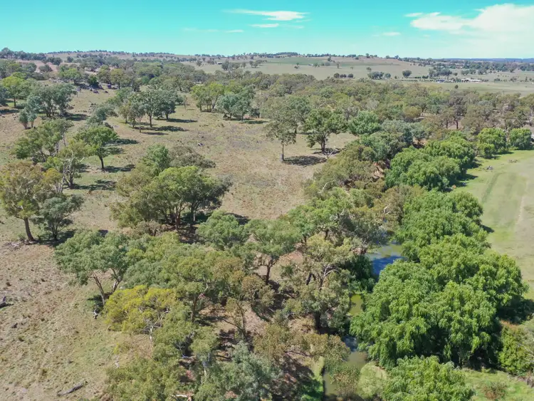 Third view of Homely rural property listing, 1089 Henry Lawson Way, Young NSW 2594