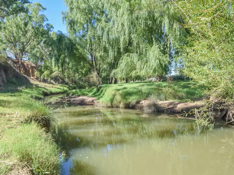 Fourth view of Homely rural property listing, 1089 Henry Lawson Way, Young NSW 2594