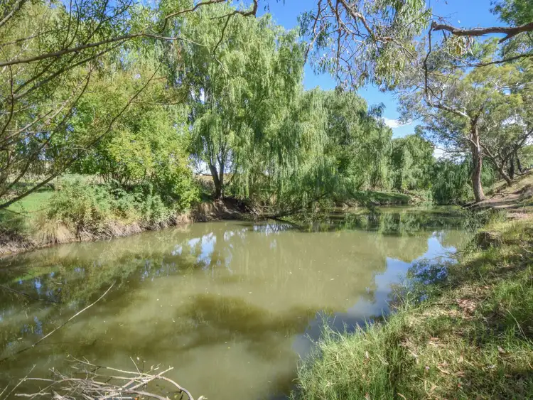 Fifth view of Homely rural property listing, 1089 Henry Lawson Way, Young NSW 2594