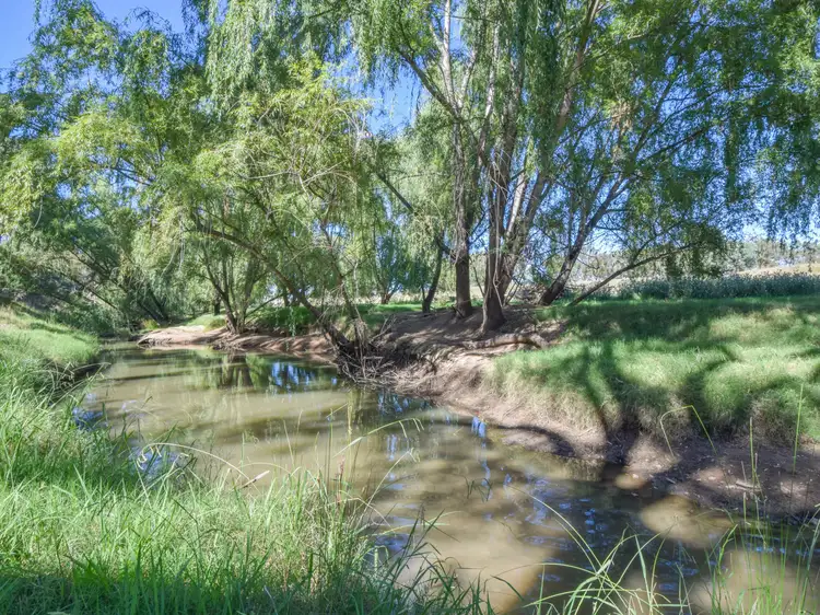Sixth view of Homely rural property listing, 1089 Henry Lawson Way, Young NSW 2594