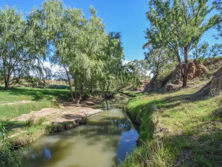Seventh view of Homely rural property listing, 1089 Henry Lawson Way, Young NSW 2594