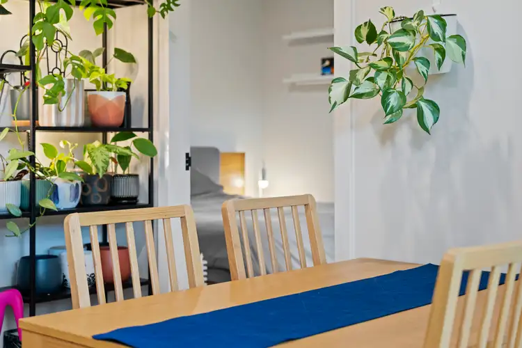Fifth view of Homely apartment listing, 1/20 Bradfield Street, Downer ACT 2602