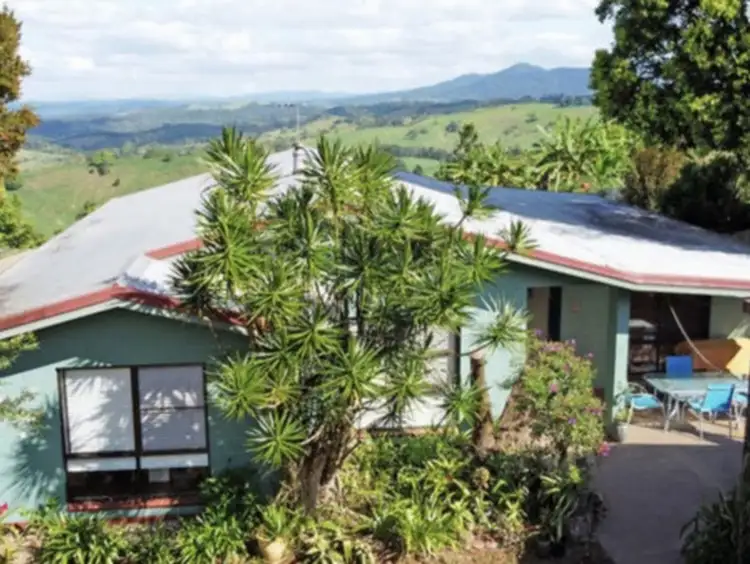 Main view of Homely house listing, 11 Pine Street, Millaa Millaa QLD 4886