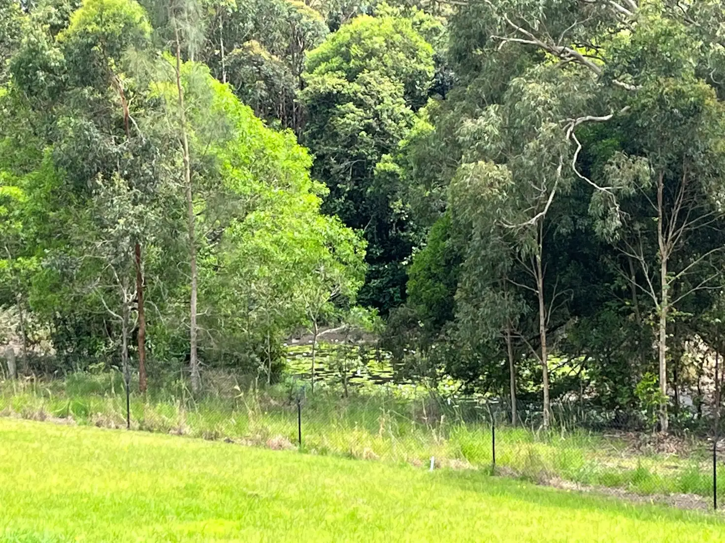 Main view of Homely land listing, 38 Maslin Close, Red Head NSW 2430
