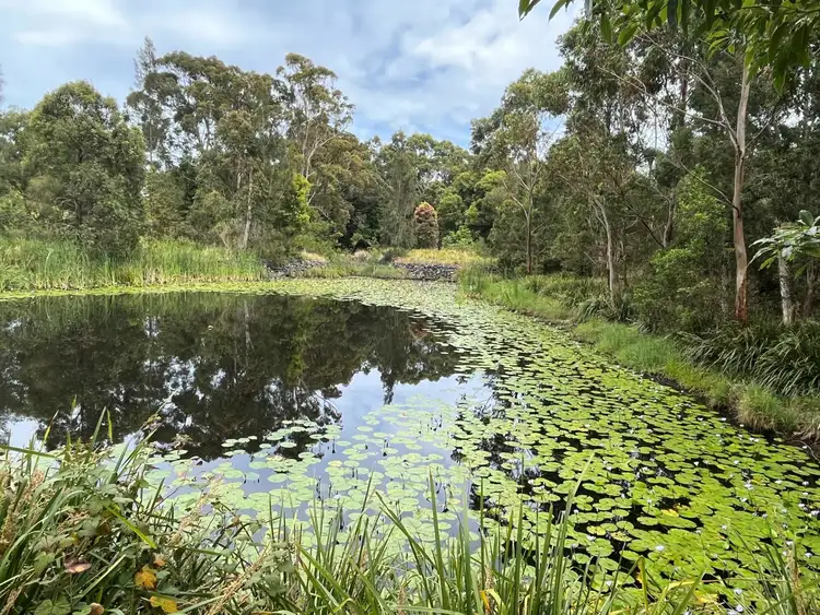 Third view of Homely land listing, 38 Maslin Close, Red Head NSW 2430