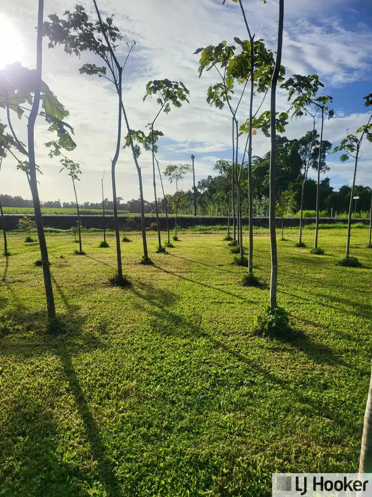 Second view of Homely land listing, Lot 9 Andy Sorbello Road, Silky Oak QLD 4854