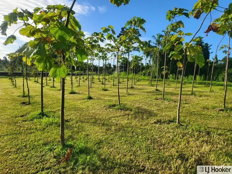 Fifth view of Homely land listing, Lot 9 Andy Sorbello Road, Silky Oak QLD 4854