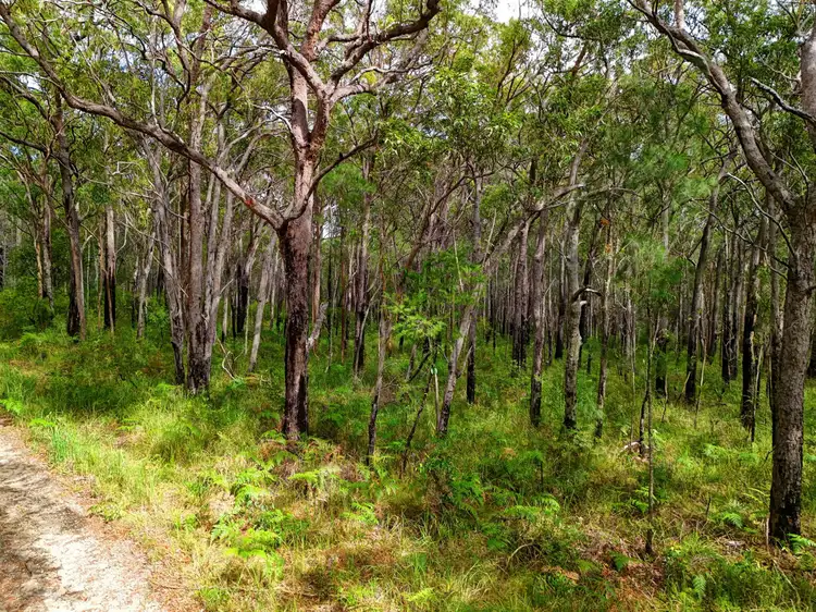 Fourth view of Homely land listing, 1229 Aberdeen Street, North Arm Cove NSW 2324