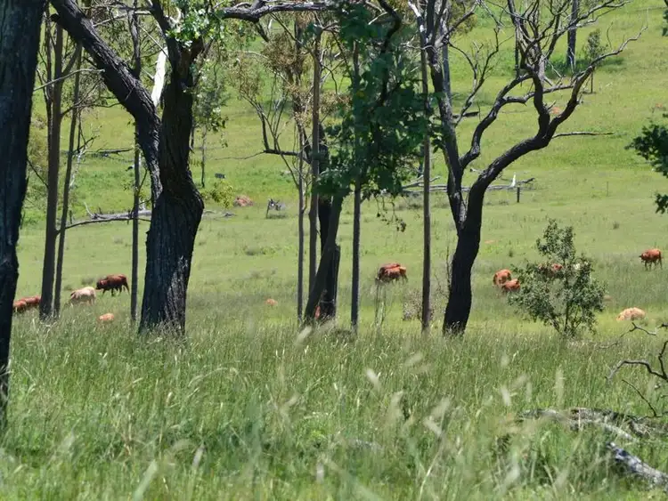 Sixth view of Homely rural property listing, Address available on request