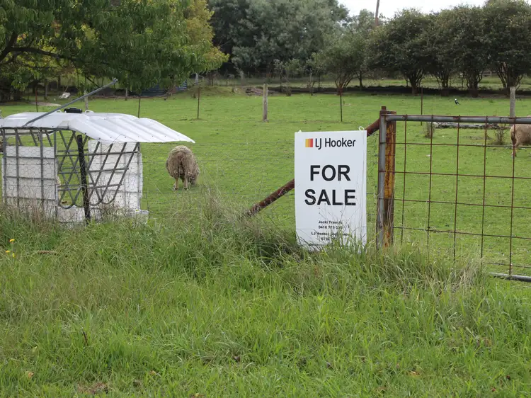 Fifth view of Homely land listing, 44 Finlay Street, Glencoe NSW 2365
