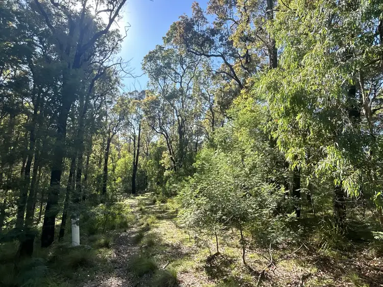 Second view of Homely land listing, Lot 3 DP1128262 Yowrie Road, Yowrie NSW 2550