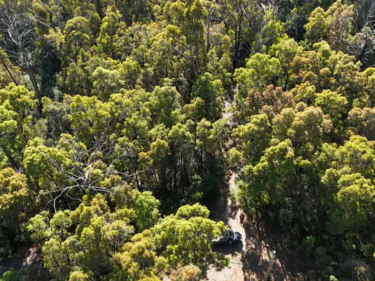 Fourth view of Homely land listing, Lot 3 DP1128262 Yowrie Road, Yowrie NSW 2550