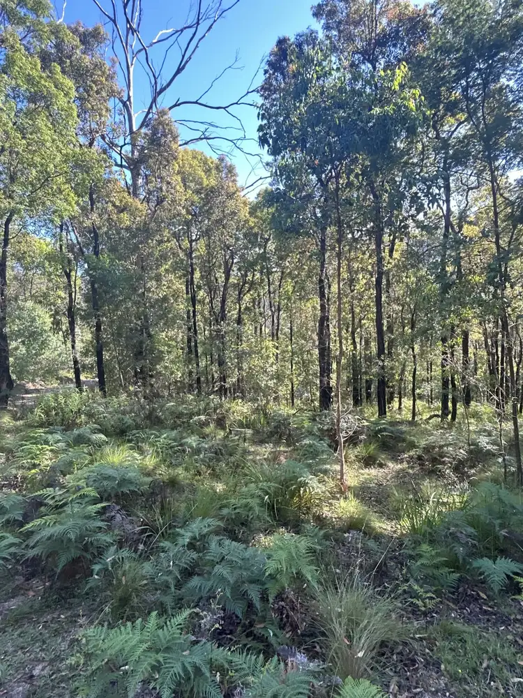 Sixth view of Homely land listing, Lot 3 DP1128262 Yowrie Road, Yowrie NSW 2550