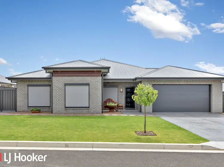 Main view of Homely house listing, 12 Charolais Drive, Calala NSW 2340