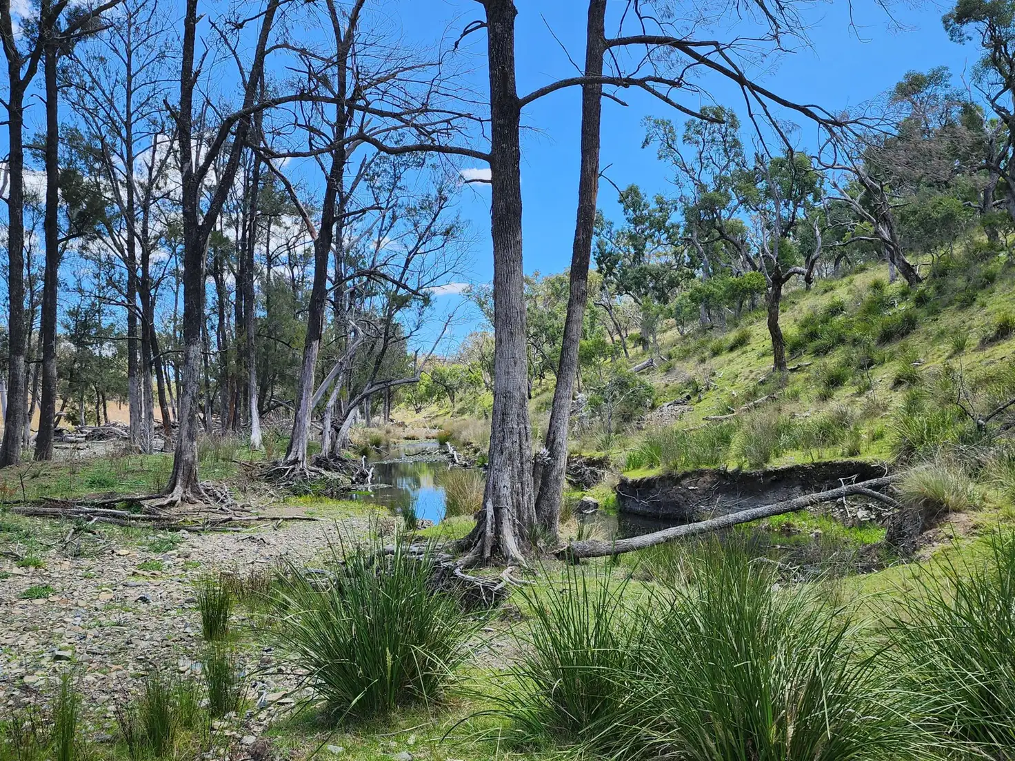 Main view of Homely rural property listing, Lot 2 Stanthorpe Texas Road, Stanthorpe QLD 4380