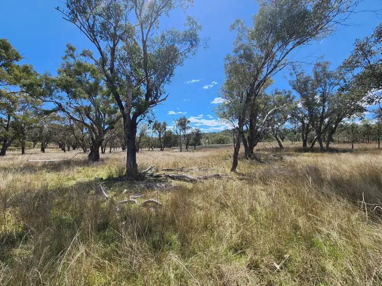 Second view of Homely rural property listing, Lot 2 Stanthorpe Texas Road, Stanthorpe QLD 4380