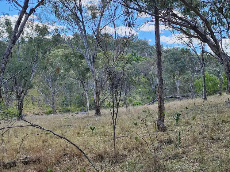 Fifth view of Homely rural property listing, Lot 2 Stanthorpe Texas Road, Stanthorpe QLD 4380