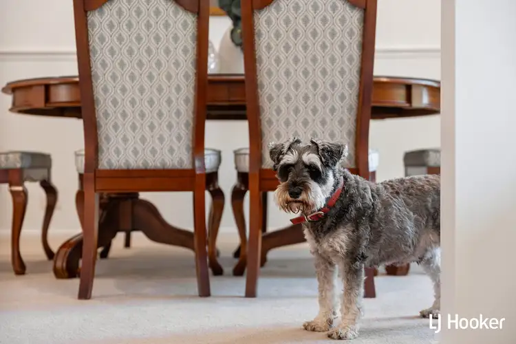 Sixth view of Homely house listing, 14 Nott Street, Fraser ACT 2615