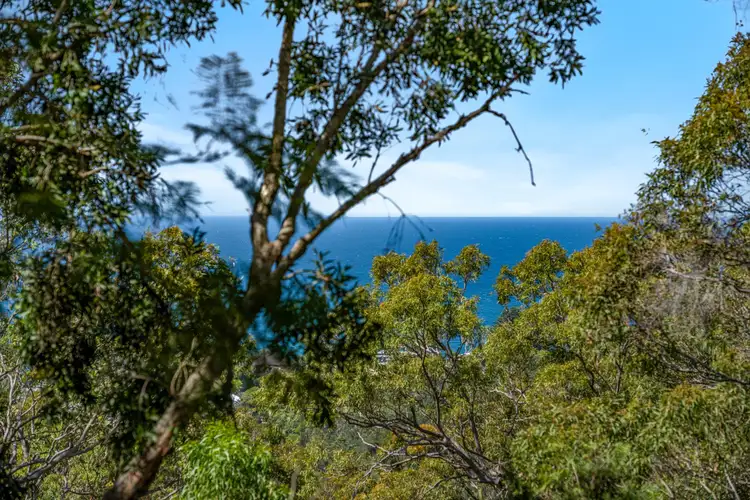 25 Palmgrove Road, Avalon Beach NSW 2107