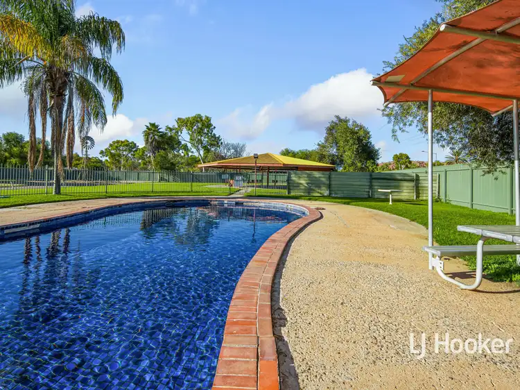 Main view of Homely unit listing, 38/26 Palm Place, Ross NT 873