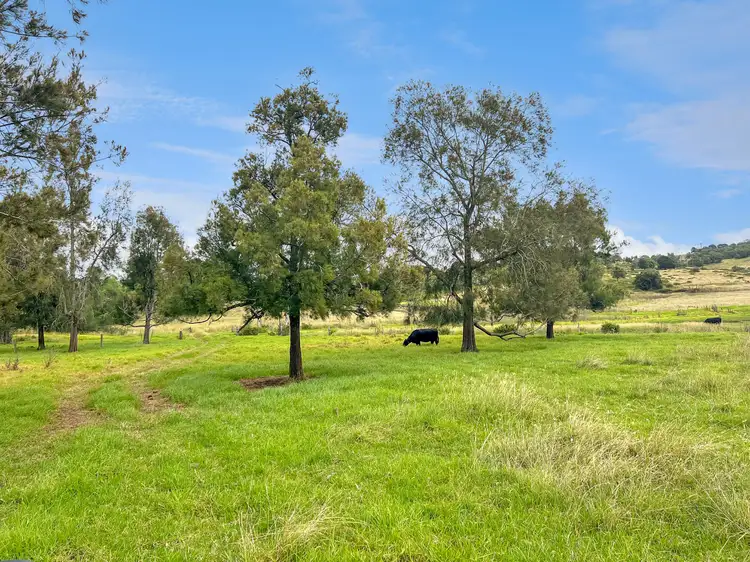 Fifth view of Homely rural property listing, Lot 424 Gardiners Road, Yarraman QLD 4614