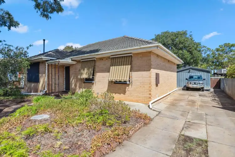 12 Hibiscus Street