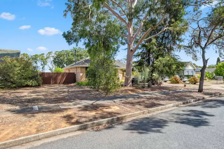 Second view of Homely house listing, 12 Hibiscus Street, Elizabeth Vale SA 5112