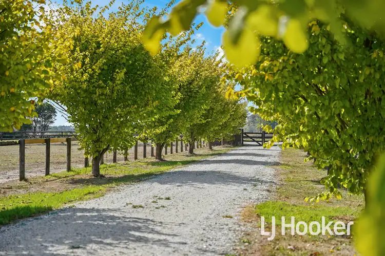 Fourth view of Homely house listing, 260 Fourteen Mile Road, Garfield VIC 3814