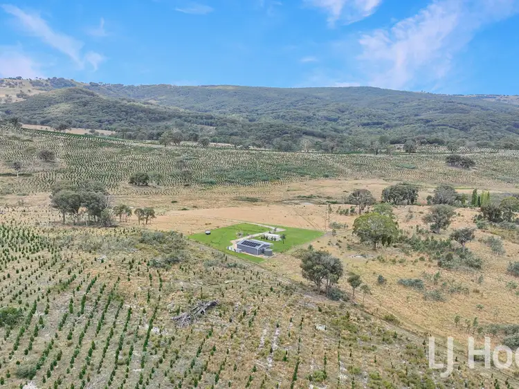 Main view of Homely rural property listing, 225 Bradene Road, Neville NSW 2799