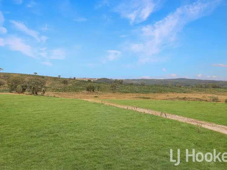 Fifth view of Homely rural property listing, 225 Bradene Road, Neville NSW 2799