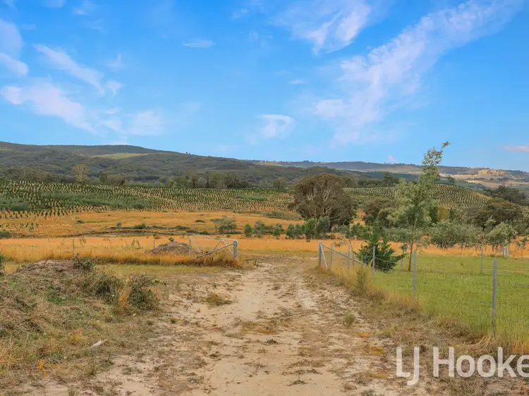 Sixth view of Homely rural property listing, 225 Bradene Road, Neville NSW 2799