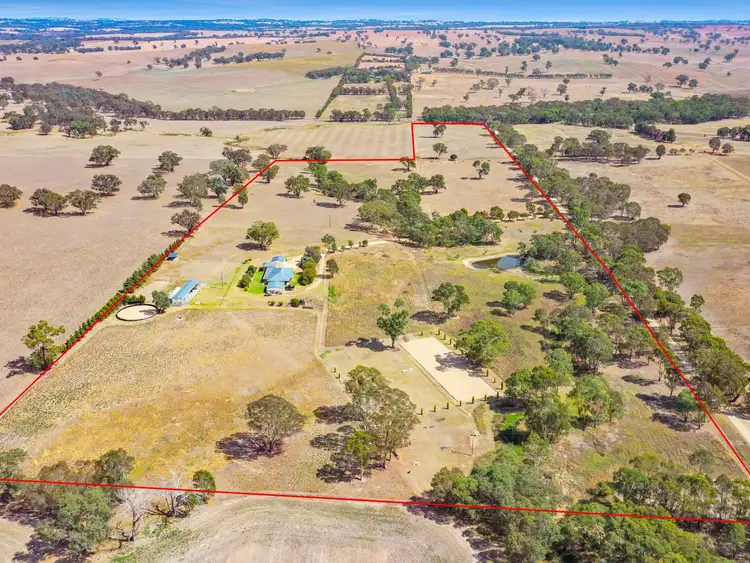 Second view of Homely rural property listing, 64 Bonnington Rd Kingsvale via, Young NSW 2594
