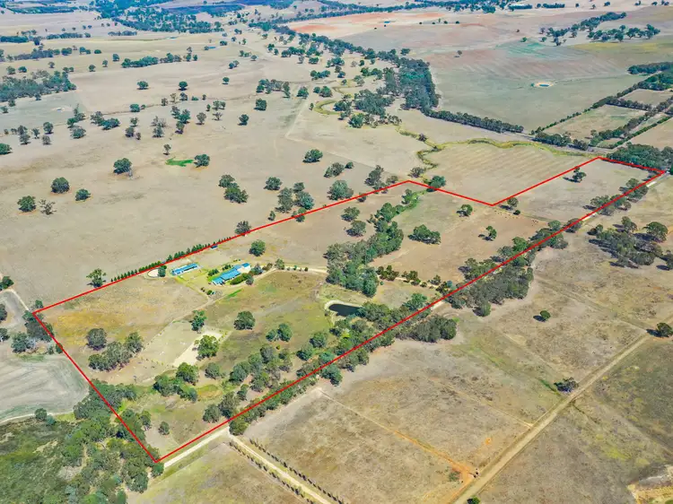 Fifth view of Homely rural property listing, 64 Bonnington Rd Kingsvale via, Young NSW 2594